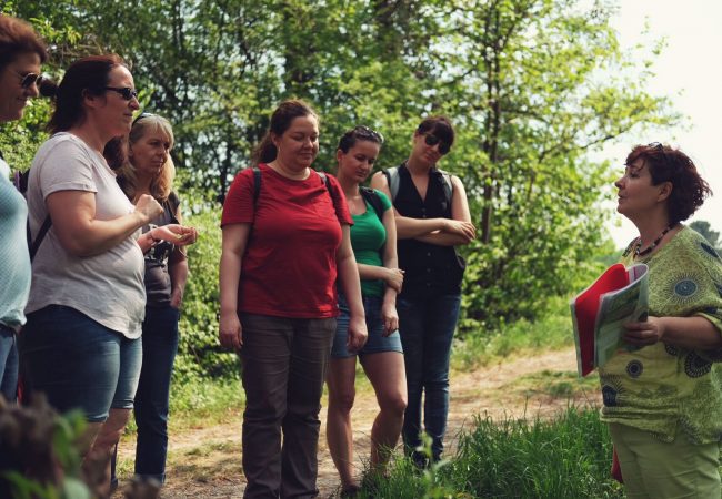 Kräuterwanderung Frühling