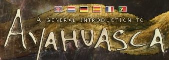 LINK_Ayahuasca-Info
