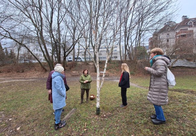 Kraft der Knospen Kraft der Knospen