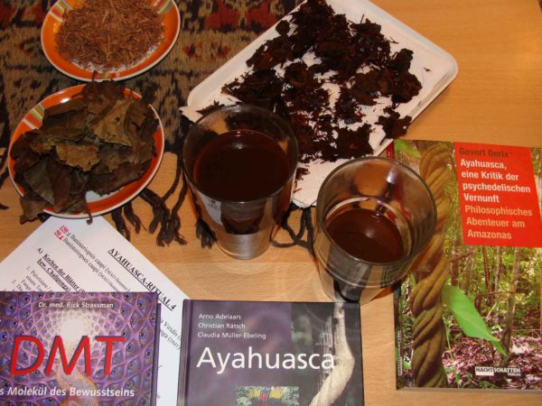 Ayahuasca-Ritual Österreich